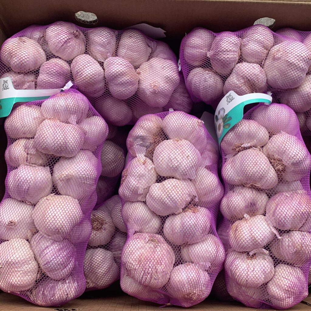 Garlic net wholesale