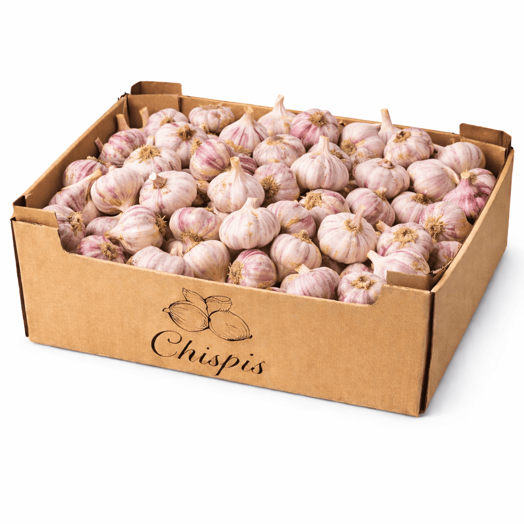 caja de ajo morado para b2b