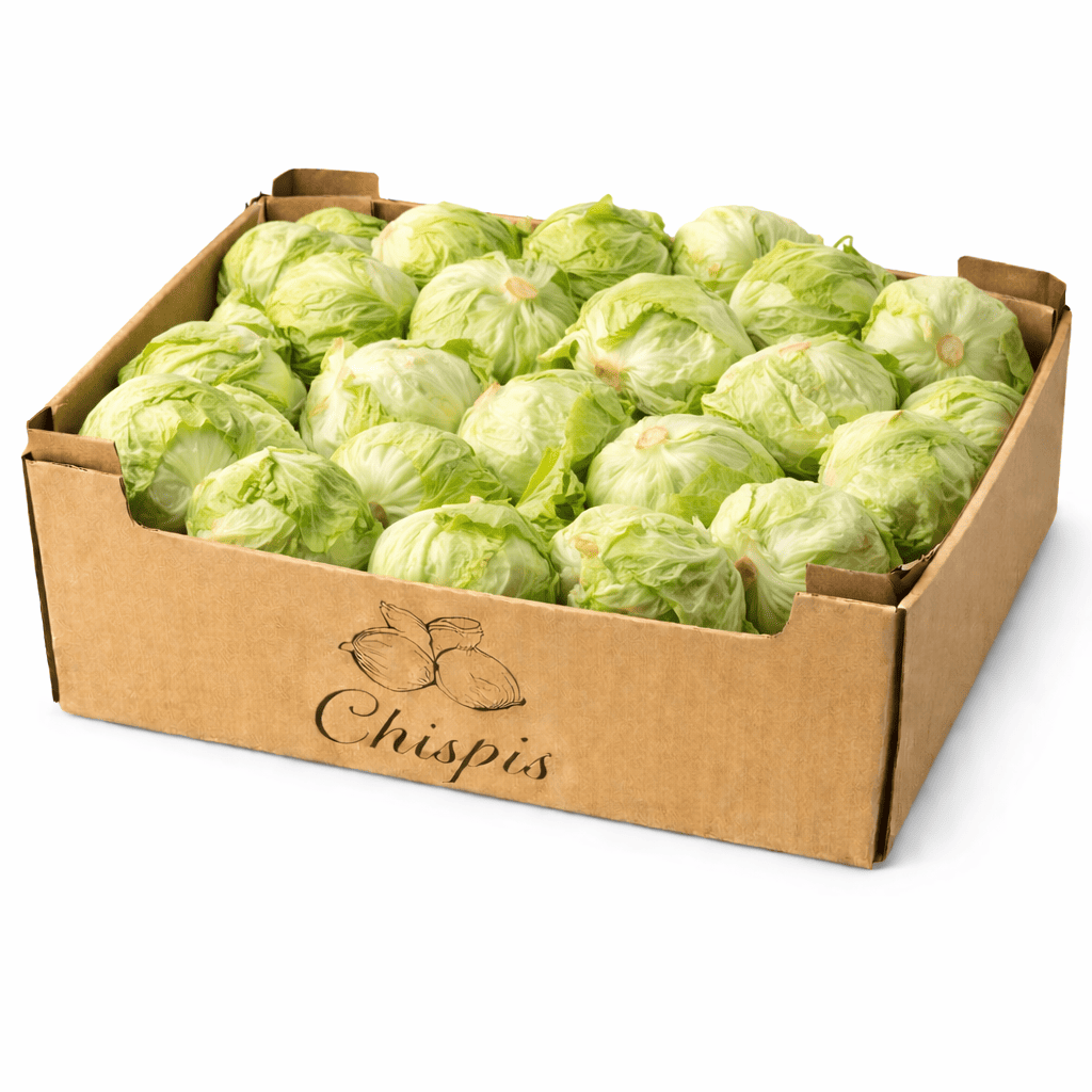 caja de lechuga iceberg para b2b