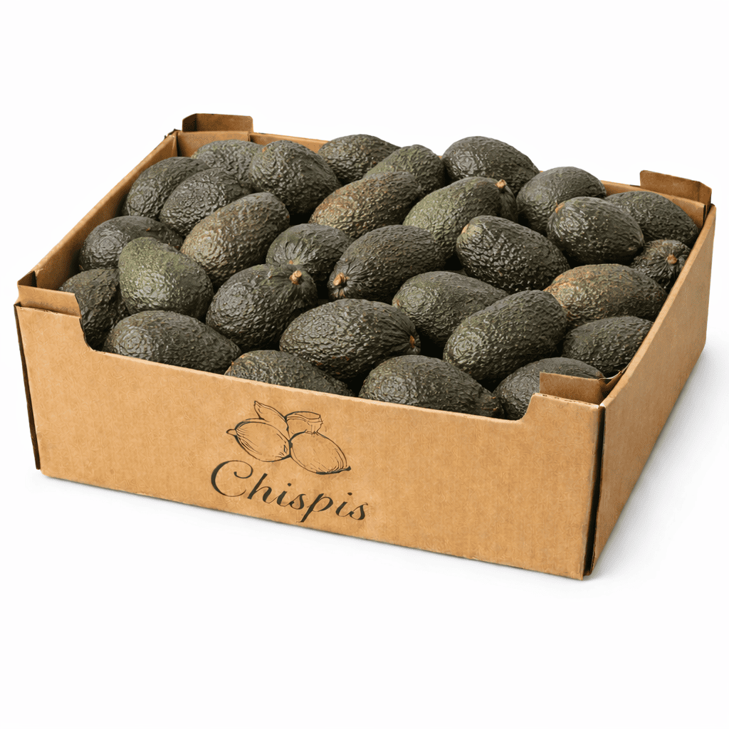 aguacate al por mayor